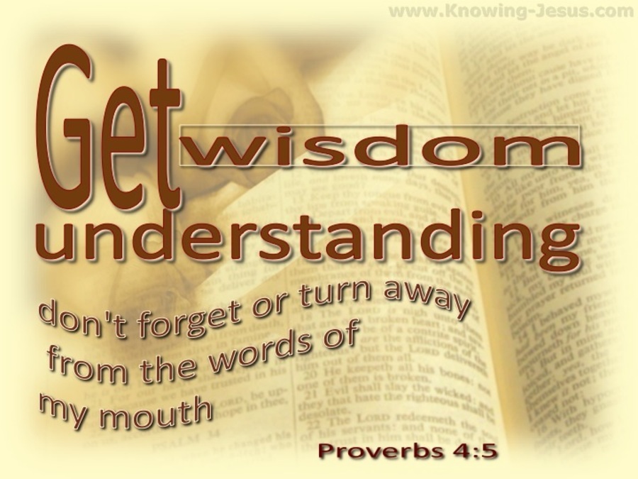 Proverbs 4:5 Get Wisdom Get Understanding (beige)
